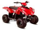 haz click para ver mas detalles de  cuatriciclo zanella 50 cc , 2013 sin uso , 
