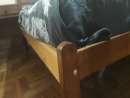 haz click para ver mas detalles de  Cama algarrobo 2 plazas