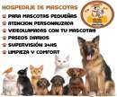 haz click para ver mas detalles de  GUARDERIA DE MASCOTAS 