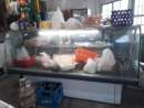 haz click para ver mas detalles de  Batea